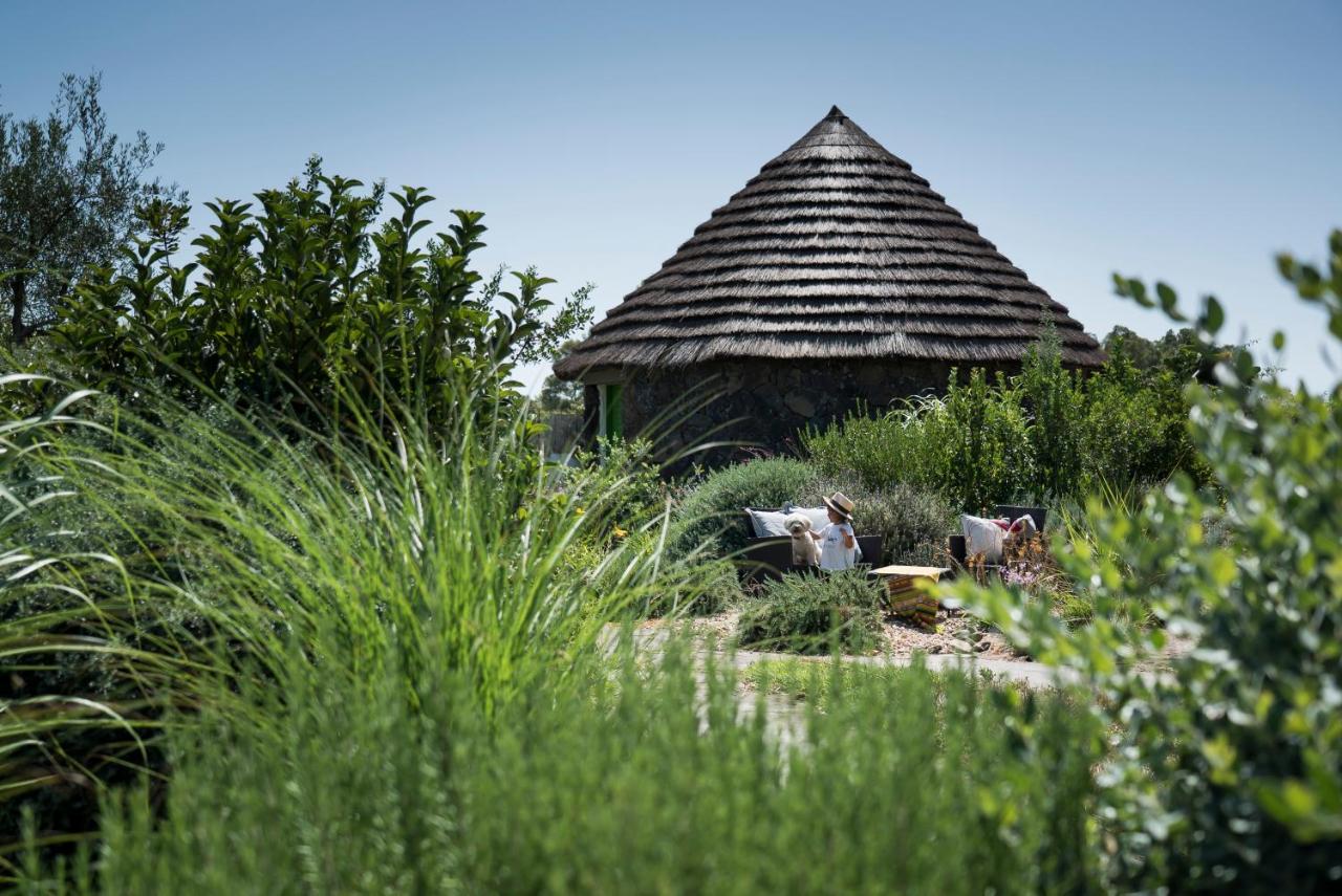 Is Cheas Wine Farm Boutique Hotel San Vero Milis Ngoại thất bức ảnh