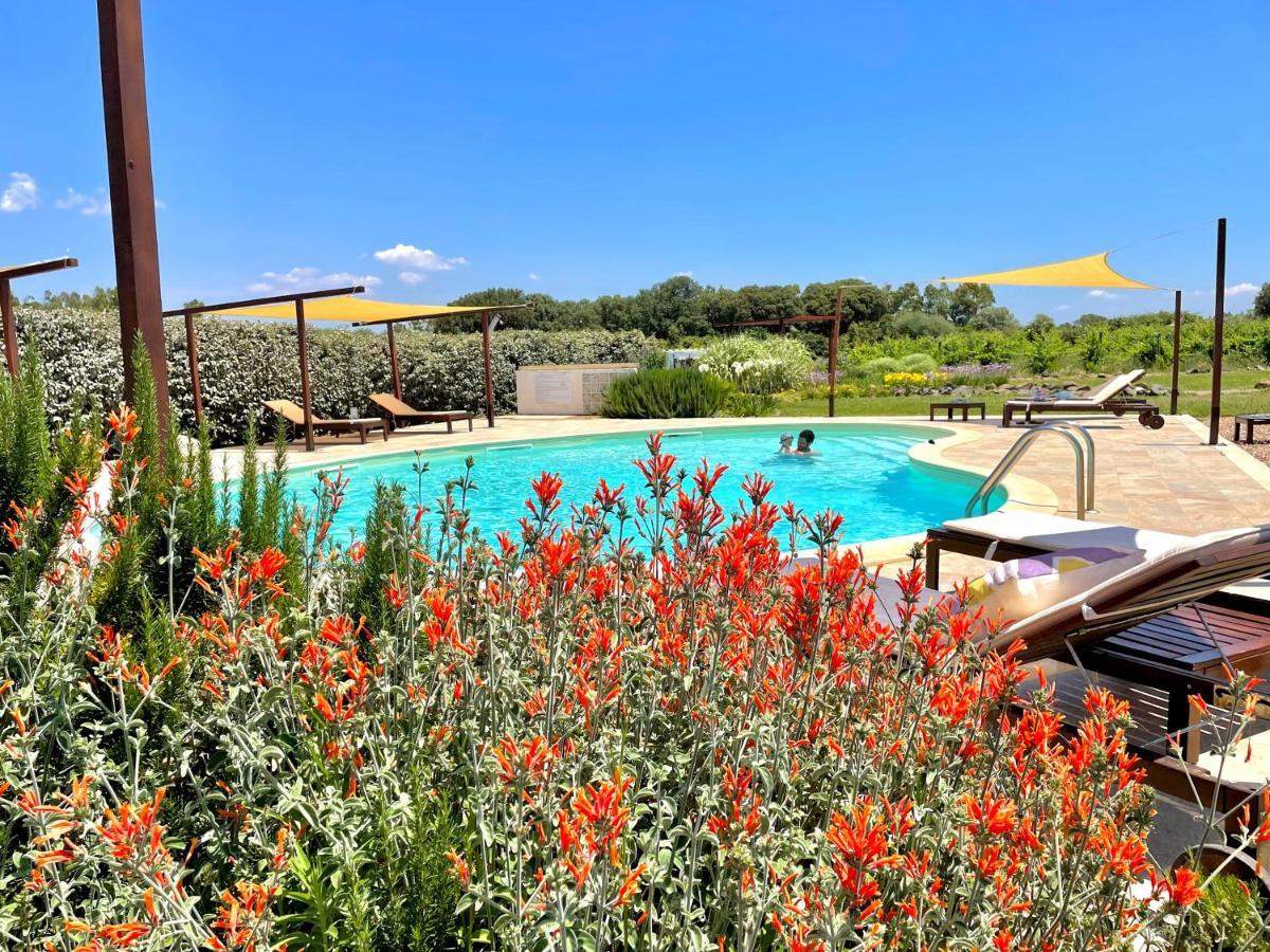 Is Cheas Wine Farm Boutique Hotel San Vero Milis Ngoại thất bức ảnh