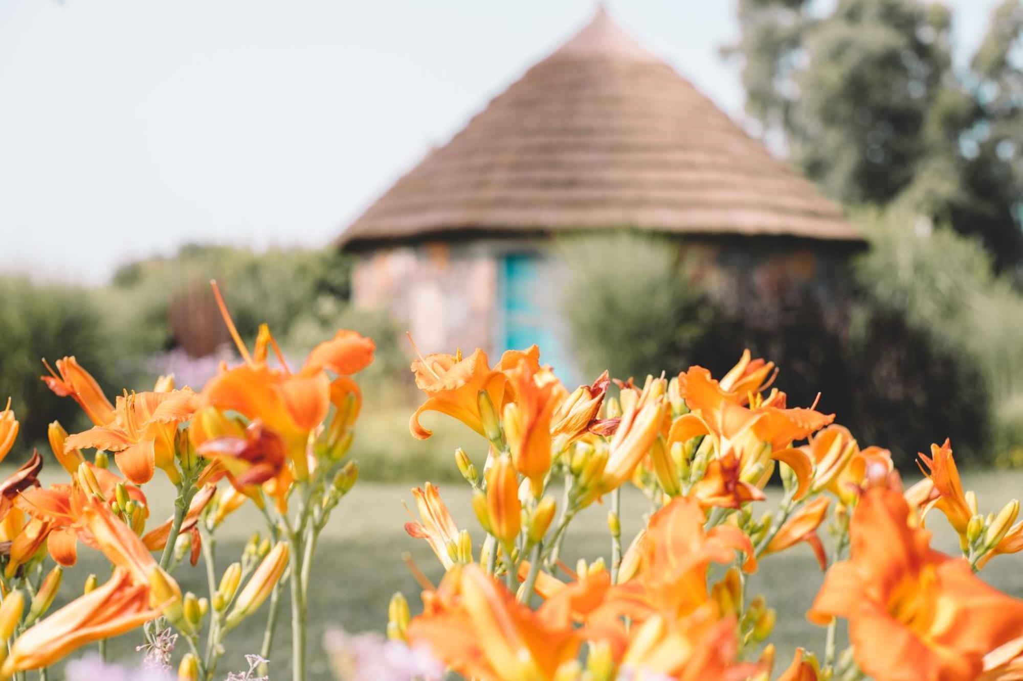 Is Cheas Wine Farm Boutique Hotel San Vero Milis Phòng bức ảnh