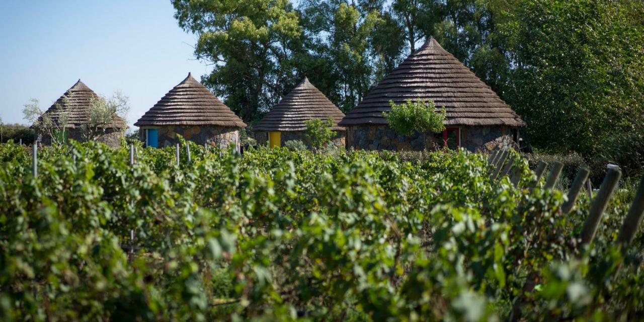 Is Cheas Wine Farm Boutique Hotel San Vero Milis Ngoại thất bức ảnh